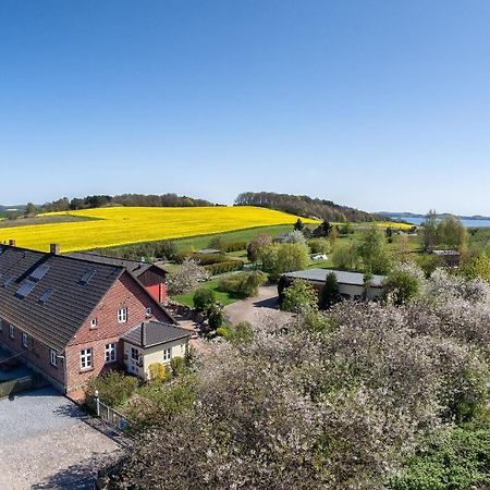 Apartament Vogelhaus Gobbin Lancken-Granitz Pokój zdjęcie