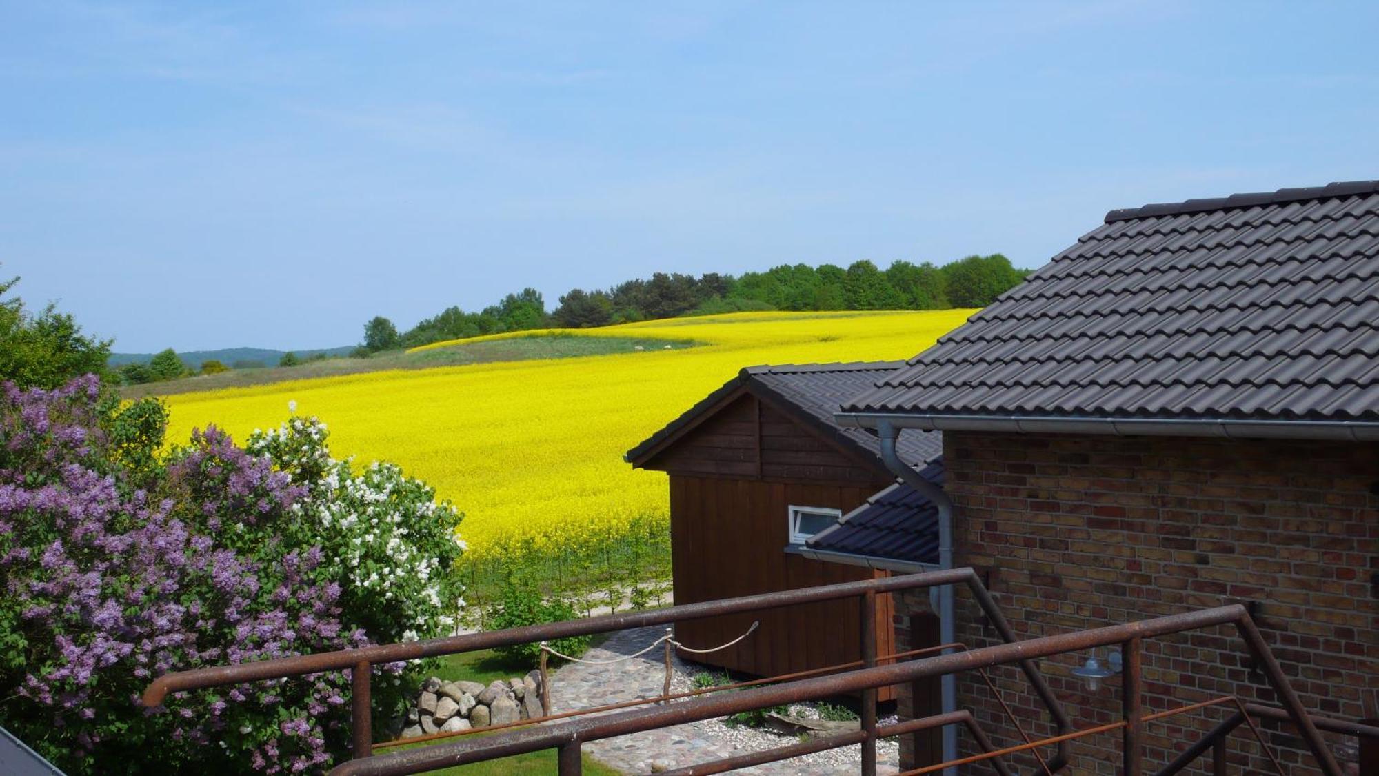 Apartament Vogelhaus Gobbin Lancken-Granitz Zewnętrze zdjęcie