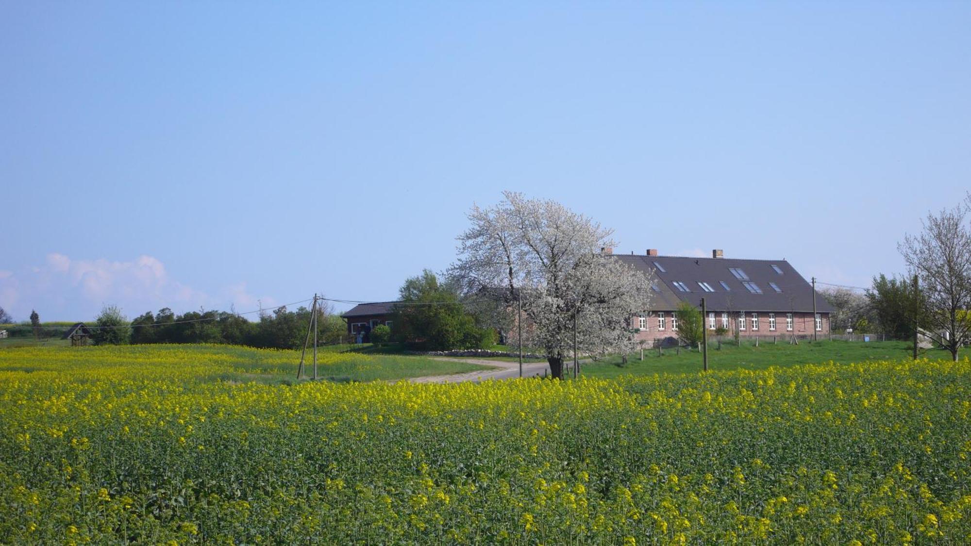 Apartament Vogelhaus Gobbin Lancken-Granitz Zewnętrze zdjęcie